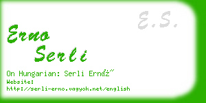 erno serli business card